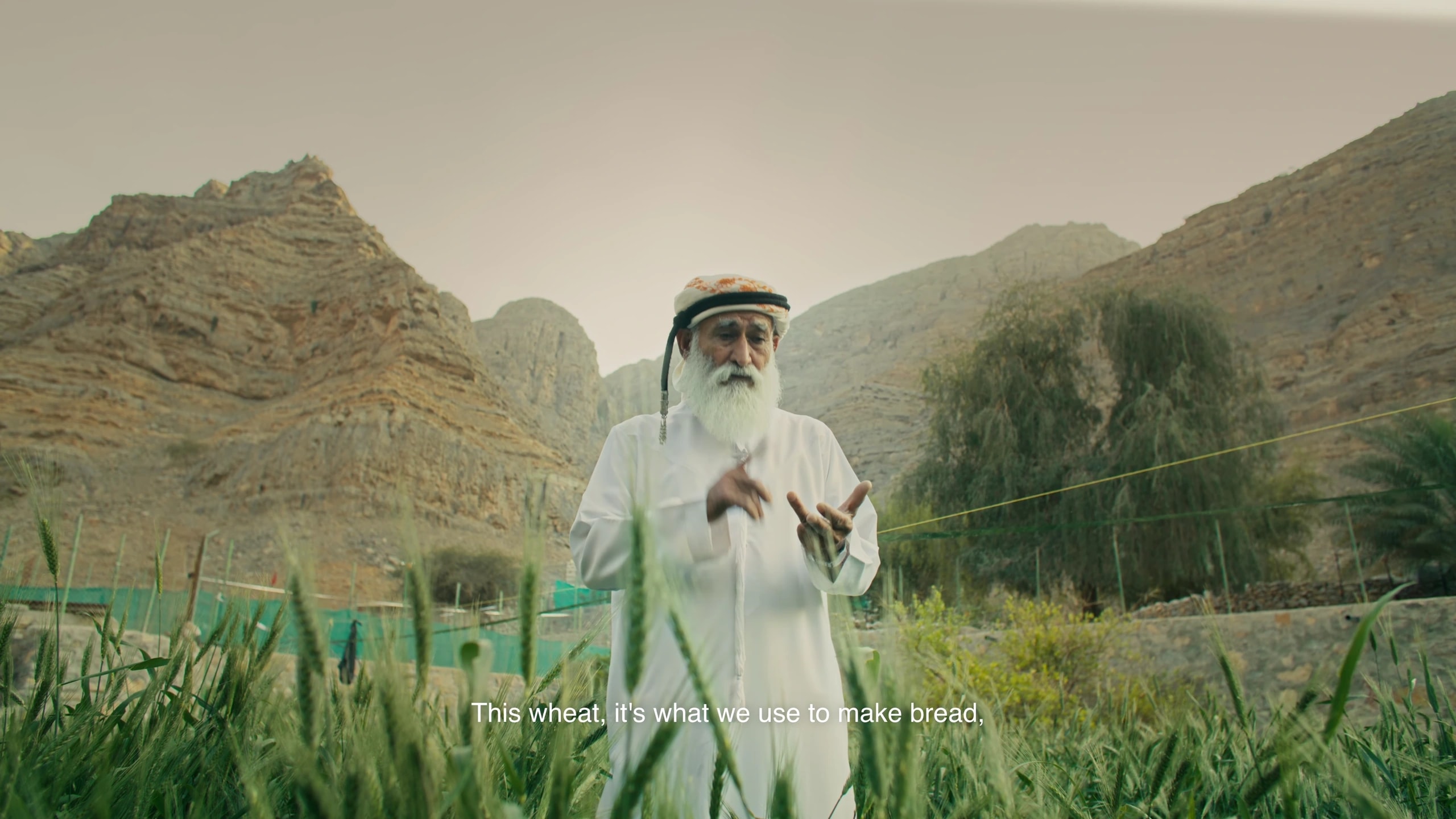 Selected frame 5 from Al Shehi Tribe